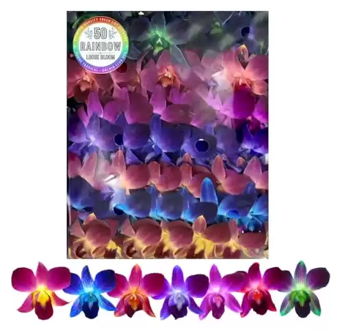 Miami Fresh Orchid Flower OrchidClub USA Sunne Tropical Loose Bloom Head DIY Lei food drink decoration (RAINBOW 50)